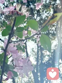 🌞把烦心事丢掉，
腾出地方装春天，
万物更新，旧疾当愈配图