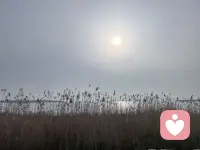 一个人最好的状态
就是在独处的时候
不用周旋于别人的情绪
也不必刻意判断他人的心思
停止一切内耗安静地做自己
不再用力走向任何人配图