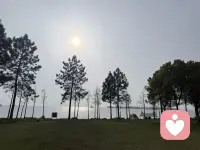 一个人最好的状态
就是在独处的时候
不用周旋于别人的情绪
也不必刻意判断他人的心思
停止一切内耗
安静地做自己
不再用力走向任何人