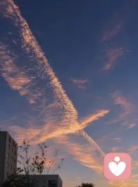 失去就失去，出发的飞鸟，永不回头。配图