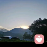 为你清心的头像