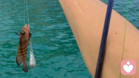 缓解压力的方式一