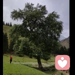 听你说心事的头像