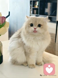 25 岁陪聊服务，不限制话题，半小时 15 元 1 小时 30 元 欢迎来咨询哇