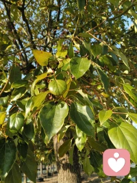 美好的事物总是发生在当下，不止。在幻想中，而是实实在在的发生，自己正在用时间感受一切。配图