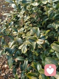 一年四季的春夏秋冬，总是有绿色点亮生活，生活千姿百态，我待生活如平常。配图