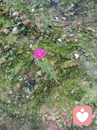 新年第一天来了，
一切不愉快都留在了去年，
新的起点，
新的希望，
愿大家事事顺心