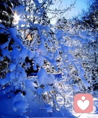 那些曾经让你患得患失的人和事，终将变得无足轻重，你值得更坦荡的职场，更干净的关系和更笃定的自己。