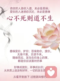 伤你的人助你入道，未必是恶缘；
爱你的人迷惑你沉沦，未必是善缘。
 
善缘爱你，护你；
恶缘助你，渡你。
 
无缘不聚，无债不来。
随缘而应，发生在你身上的事，
都是你应该面对的事。
 
好事成就你，坏事成长你；
从本质上说没有好坏，
一切的发生皆有利于你。
 
心不死则道不生。
从看开到放下 过程就叫修行。