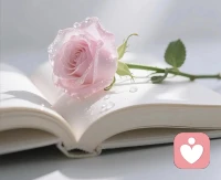 倾听师和心理咨询师的不同在于：我不分析你的人生，我只守护你的情绪。我会接住你没说完的话、没落下的泪、没讲完的故事。在这里，你可以卸下所有伪装，做最真实的自己。所有凌乱的情绪，我都陪你，在星光下慢慢整理。配图