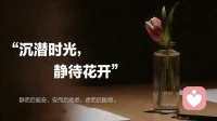 沉潜时光，静待花开！