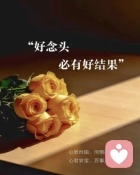🌞 心若向阳，何惧路长
保持一个好念头，日子就会慢慢发光
就像这束暖黄的玫瑰，在光影里也能开出温柔的模样✨
愿我们都能带着善意与坚定，从容走向每一个明天！