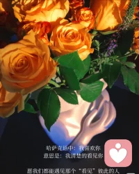 心情充满了活力和新鲜感！配图