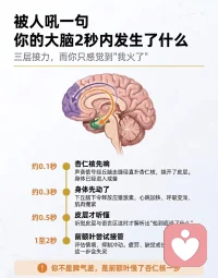 您的大脑2秒内发生了什么配图