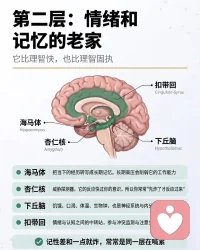 第一层配图