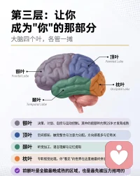 第三层配图