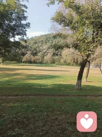 生活里总有太多情绪没处说
委屈、压力、难过、迷茫
不用一个人硬扛
我在这里，安静倾听、温柔陪伴
#倾听师 #情绪疏导 #心理陪伴 #治愈自己 #拒绝内耗配图