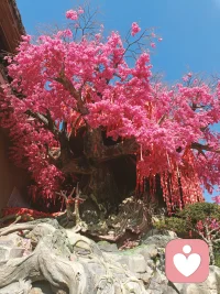 累了就停下来歇一歇
我愿意做你最安全的情绪树洞
听你说所有不敢说的话
陪你慢慢走出情绪低谷
#倾听服务 #心理陪伴 #情绪治愈 #自我疗愈 #暖心陪伴配图