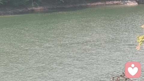 累了吗？来和我说说心里话