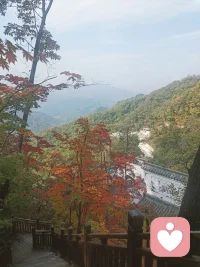 ​
云卷云舒，花开花落。#马年大吉
道理你都懂，只是需要一个人，好好听你说。以耳为窗，以心为灯，在这马年的时光里，慢听岁月，慢听你。配图