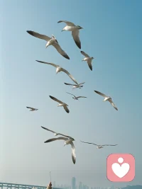 很多人来找我聊天，不是为了答案，只是想被认真听一次。
情绪没有对错，难过不必硬撑。
你可以脆弱，可以迷茫，可以停下来喘口气。
我在这里，安静听你说。配图