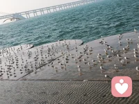 如果你心里藏着说不出的委屈、疲惫与不安，
不用硬撑，也不用假装坚强。
我在这里，安静、认真、不评判地听你说。
把情绪慢慢放下，把心事轻轻说出来，
你值得被看见、被理解、被温柔以待。
愿每个深夜，都有人懂你的不易。✨配图