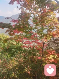 做情绪的落脚点，做故事的倾听者。愿每个辛苦的人，都有地方卸下伪装，安心说话。我在这里，等你开口。配图