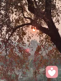 只要你想，你就被约束了
放下计划
放下想法
一切顺其自然
每种结果都是当下最好的选择配图