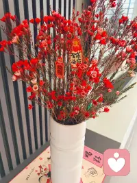 倾听认证通过✅
欢迎👏来交流配图