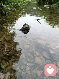 不必总是匆匆赶路，偶尔也要停下来，等一等灵魂。
看看路边新开的花，感受一下午后的暖阳。生活中的幸福感，往往藏在那些看似“无用”的慢时光里。今天，请给自己一个无所事事的下午吧。