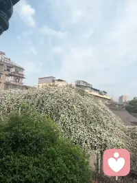 新的一天开始了，4月份我来了，让这个从这里开始新旅途，快来给力约上我配图