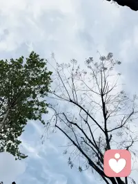每一天开始，你都会觉得时间好漫长，反而，时间在慢慢流浪，在你不知不觉中，一点一滴流量，一年又一年过去了，不能让心情沉沦，要让心情活跃起来、跳起来，自由自在飞翔起来人生。配图