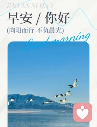 ⑉⑉⑉ıl⑉ 🌟早安🌟 ⑉ıl⑉⑉⑉ 
        ☁𝒢𝑜𝑜𝒹 𝑀𝑜𝓇𝓃𝒾𝓃𝑔 ☁
 
👑 别太在意别人的眼光
🎬 你的人生脚本
💫 主角是你自己 ✨