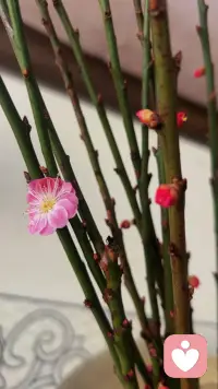 “无论任何关系，只要别人不再考虑你的感受，就该及时止损。人生不是用来讨好别人，而是好好善待自己，要习惯任何人的忽冷忽热，也要看淡任何人的渐行渐远配图