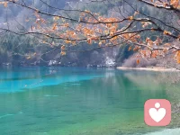 很多感情里的痛，
不是不爱，是说不出口。
委屈自己扛，难过自己咽，
连崩溃都要选好时间。
 
如果你也在：
失恋、冷战、暧昧内耗、婚姻疲惫、
想放手又舍不得、想靠近又怕受伤……
我不劝你大度，不教你坚强，
只安安静静听你说，陪你梳理情绪。
这里很安全，你可以放心脆弱。配图