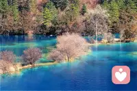 人这一生，难免会有一段孤独又难熬的时光。
没人懂、没人说、没人撑，
所有情绪都只能自己扛。
 
但你要记得：
你从来都不是一个人。
 
抵御孤独最好的方式，
不是强迫自己热闹，
而是学会接纳情绪、安放自己，
在安静里慢慢自愈、慢慢强大。
 
如果某一刻，你觉得撑不住了，
不用硬扛，不用假装坚强。
有心事，可以来找我。
我愿意听你说，陪你慢慢走出来。
 
愿你在独处时安心，
在迷茫时有人懂，
在孤独里，活成最温柔也最强大的自己。配图