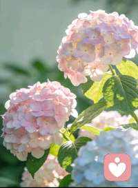 每个人的生活，其实我们每个人都是一个独立的个体。
在人生之中，我们接触的人都是不一样的，所以我们每个人都有每个人自己的想法，每个人也都有一些不同的烦恼，这些都是非常正常的事情。
只是说，如果有不被理解的地方，那并不是我们自己出了问题，有可能是我们身边的人都各自站在自己的立场去考虑问题。
所以，可以说说你的故事，我们一起聊一聊。