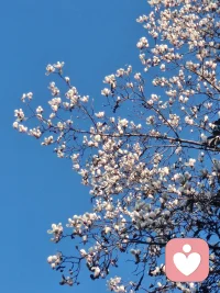 我们是这个世界的参与者，我们从世界之外来，也终将回到世界之外去，而我们人生的意义就是体验，体验悲欢离合，而在这个世界的每分每秒都是珍贵的财富，我们终将离去，但也在精心制作给予这个世界的礼物，这能证明我们曾热烈的爱过，爱到让荒芜的土地开出花，让冰冷的时光有了温度。 这份爱，就是我们留给世界最珍贵的遗产。