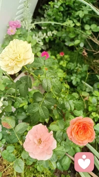 你的情绪，值得被温柔接住
无论开心还是难过，每一种感受都有意义，
让我做那个稳稳托住你的人，给你片刻的安心❤️配图
