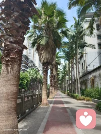 有些话不必说完，我懂，
那些藏在停顿里的叹息，我都听见了，
不用费力解释你的感受，我慢慢陪你捋清！配图