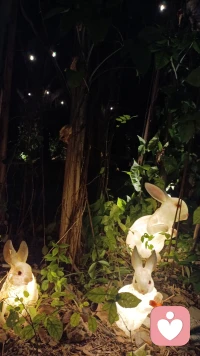 心事像落叶，
轻轻放下就好，我在，
为你留一条安静的小径★