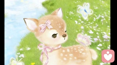 《一个人的疗愈》