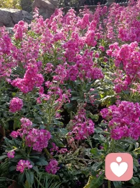 任何关系本质上都是一种价值体系，别人忠诚于你，这是因为你手上的筹码够多，或者你手上的筹码是他想要的，需要的。
那别人如果选择背叛你，那是因为你他背叛你的筹码不够大。这是你身上没有他想要的筹码了。简单的说就是你身上没有他想要的价值了。
是不是这样？请评论配图