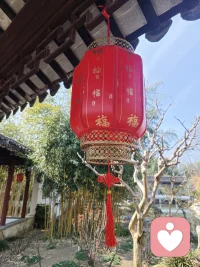 人的烦恼基本上是人际关系带来的，自从没朋友后，基本没什么烦恼了。
你们是不是也这样？配图