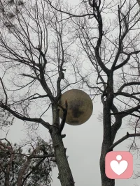 伤害你的人其实都是故意的，你相信吗？
不管是亲疏远近那些伤害你的人都是在权衡利弊。不断对比之后才发现伤害你的代价远远效益获得的利益才最终选择了伤害你。
这些都是因为利益使然，也是人性的真相，你相信吗？
因为你的价值决定着你在别人眼里的分量，也决定着别人对你的态度。
你觉得是不是这样的？配图