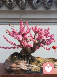 两个人相处，如果你们的钱财东西没有你我彼此之分。
那你们两个人的心也是没有你我之分的，是同一条心的。
如果你们的钱财东西是有你我之分的，那你们的心也是有你我之分的。
就是现在人所说的。夫妻两个人同财才能同心。如果钱财都不能共同所有，那心怎么会在一起呢？
是不是这个理？配图