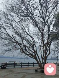 心病需要心医治，解铃还要系铃人。有什么心事儿和我聊一聊。我能够陪你一起成长，一起寻找光明。配图