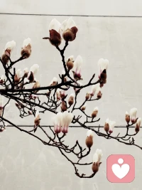 破窗效应就是如果有一间房的窗户被人打破，如果也没有人及时去修理，那要不了过多久就会有人也跟着。打破其他窗户，甚至闯进去偷东西。
你如果发现你的情绪和心理有不让自己开心或有不一样的情况时。
要想办法及时的去找出原因，解决这个问题，或者找专业老师来聊一聊。配图