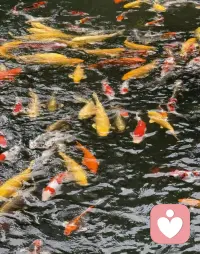 自己走百步 不如贵人扶一步。
人生三大幸事:遇良师、得良友、握良机。
人生的有所‬经历最离不的开‬就是贵人！
有了贵人的扶帮‬干什都么‬会顺利。
如何找贵人？
随时呼叫我，让我告诉你。配图