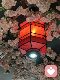 最近接到部分粉丝都有绿帽情节的。
有的人呢感觉自己这种思想和行为可能和大部分人不一样。感觉自卑或羞于说出口。
有的人要问需不需要治疗的想法。
他们担心讲出来怕别人指责，怕别人骂。
其实，生活中每个人有每个人的生活和喜好。
小众喜好也是喜好啊，只要他们的爱好与喜欢，没有影响到别人，也没有伤害到别人。
那就没什么错。就不能指责，嫌弃。
亲爱的们，你有什么想法可以留言说说配图